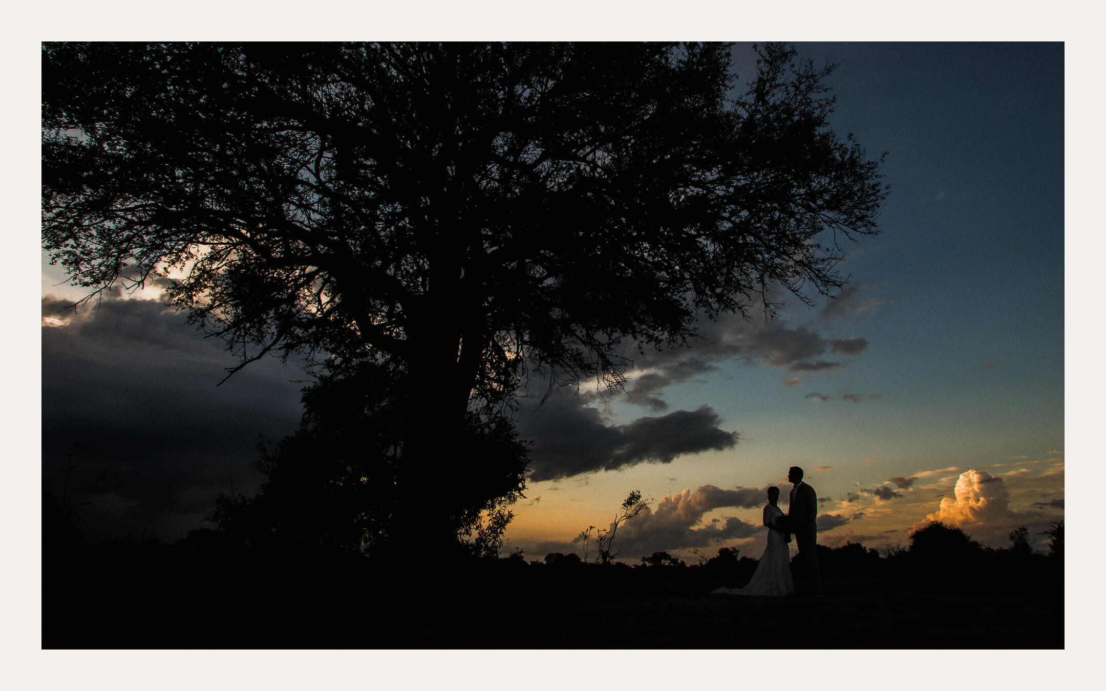 Couple silhouetted beneath a large tree against a deep blue dusk sky. Ben Viljoen Photography